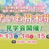 【6/13〜15開催】仙台の樹木葬｜法楽寺「たいわ樹木葬」現地見学会開催！
