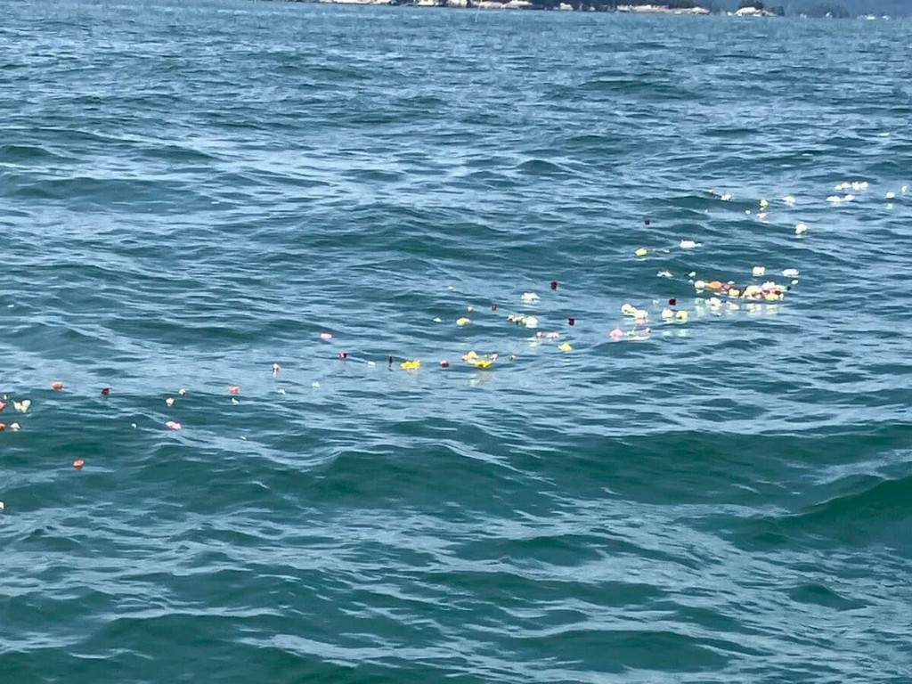 宮城県の塩釜港沖を回遊する海洋散骨ツアーの献花イメージ画像